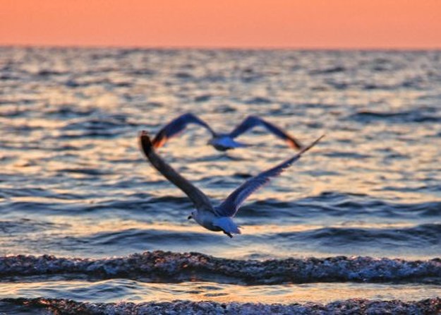 In-a-perfectly-timed-world-008