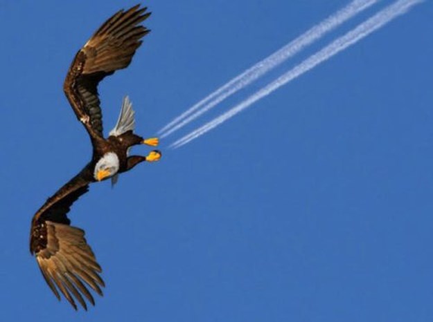 In-a-perfectly-timed-world-013