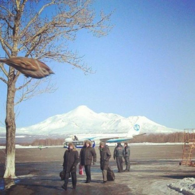 In-a-perfectly-timed-world-025