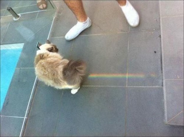 In-a-perfectly-timed-world-032