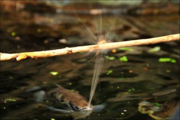 In-a-perfectly-timed-world-036