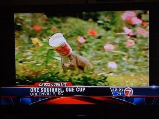 Sometimes-the-Local-News-Reports-Get-It-So-Wrong-008