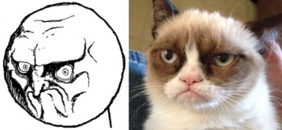 The-Real-Cats-Behind-the-Cartoon-Rage-Faces-006