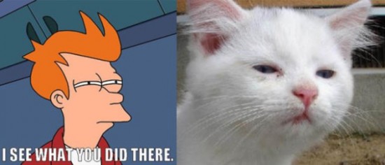 The-Real-Cats-Behind-the-Cartoon-Rage-Faces-013