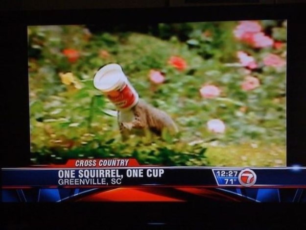 The-Weirdest-Local-News-Captions-Seen-Recently-002