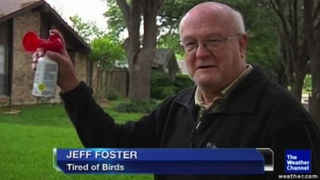 The-Weirdest-Local-News-Captions-Seen-Recently-018