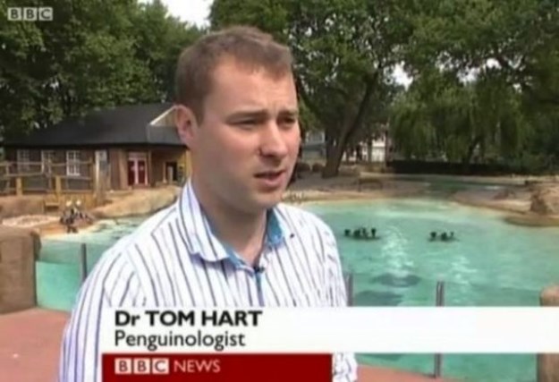 The-Weirdest-Local-News-Captions-Seen-Recently-021
