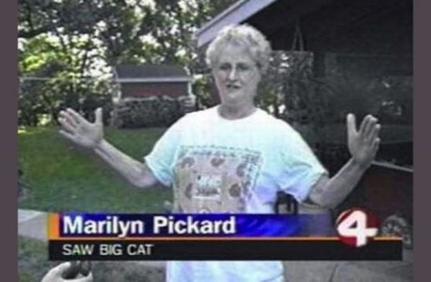 The-Weirdest-Local-News-Captions-Seen-Recently-023