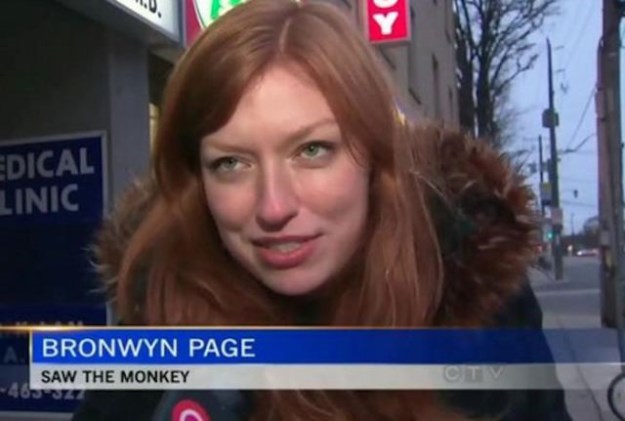 The-Weirdest-Local-News-Captions-Seen-Recently-025