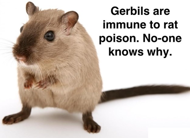 8-Simply-Amazing-Facts-003
