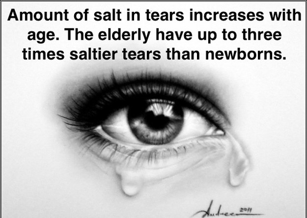 8-Simply-Amazing-Facts-007