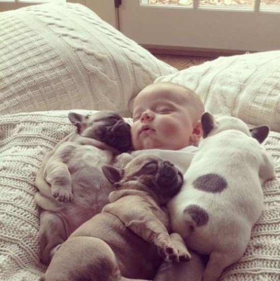 Baby-with-Bulldog-Puppies-002