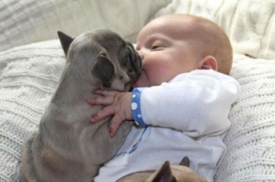 Baby-with-Bulldog-Puppies-003