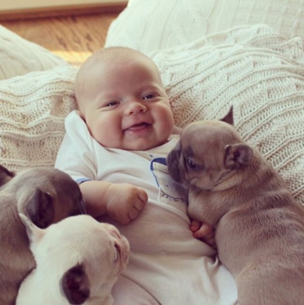 Baby-with-Bulldog-Puppies-004