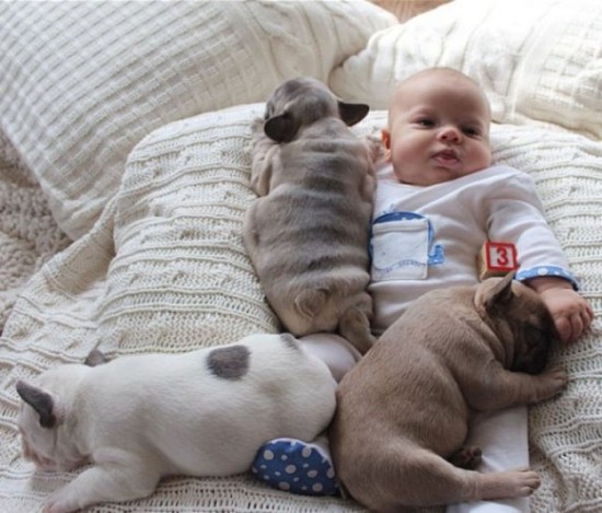 Baby-with-Bulldog-Puppies-007