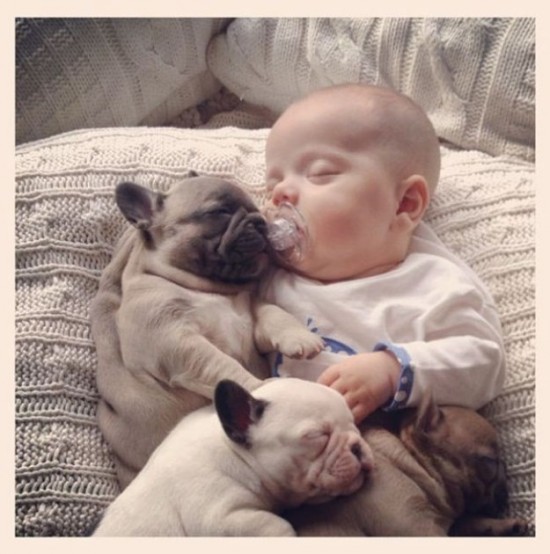 Baby-with-Bulldog-Puppies-008