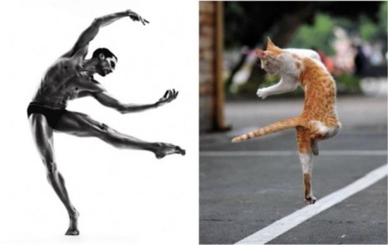 Male-Models-and-Their-Cat-Counterparts-001