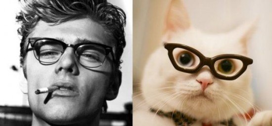 Male-Models-and-Their-Cat-Counterparts-002