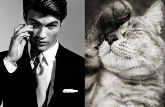 Male-Models-and-Their-Cat-Counterparts-003