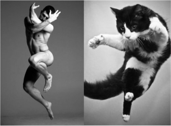 Male-Models-and-Their-Cat-Counterparts-004