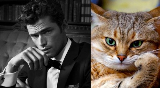 Male-Models-and-Their-Cat-Counterparts-006