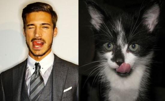 Male-Models-and-Their-Cat-Counterparts-007