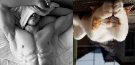 Male-Models-and-Their-Cat-Counterparts-008