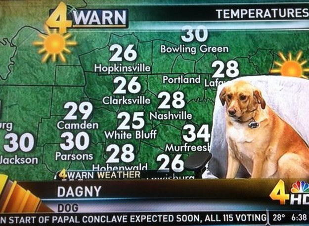 Meanwhile-in-news-world-021