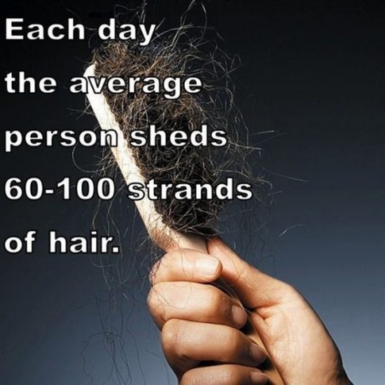 Amazing Facts Of Human Body 22 Photos Funcage Amazing Facts Of Human Body 22 Photos Funcage