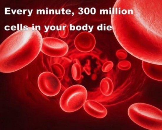 Amazing-facts-of-human-body-012