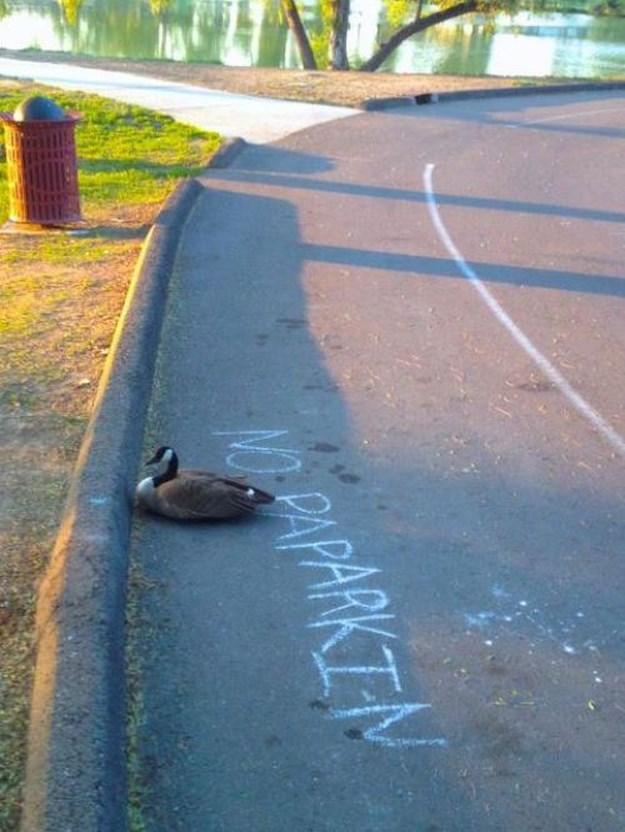 I-do-what-I-want-009