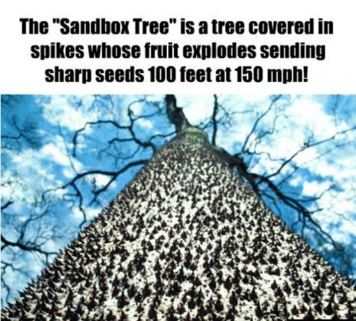 Interesting-Facts-029