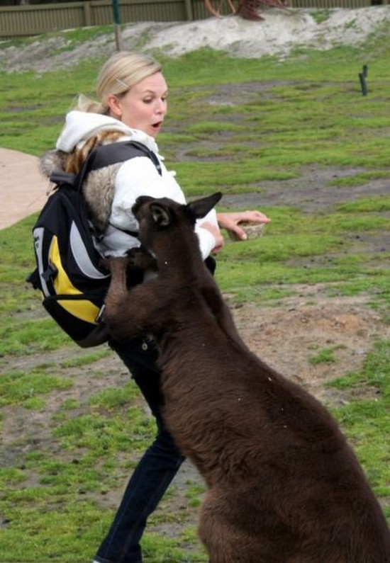 Animals being mean to women (35 Photos) - FunCage