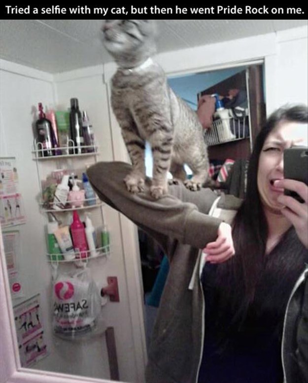 Attack-Of-The-Funny-Animals-011