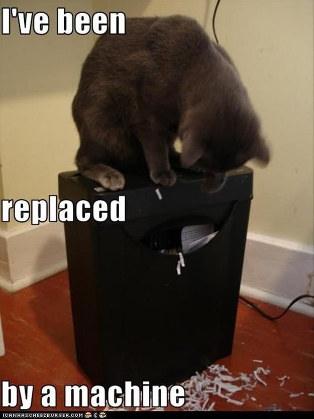 Attack-Of-The-Funny-Animals-028