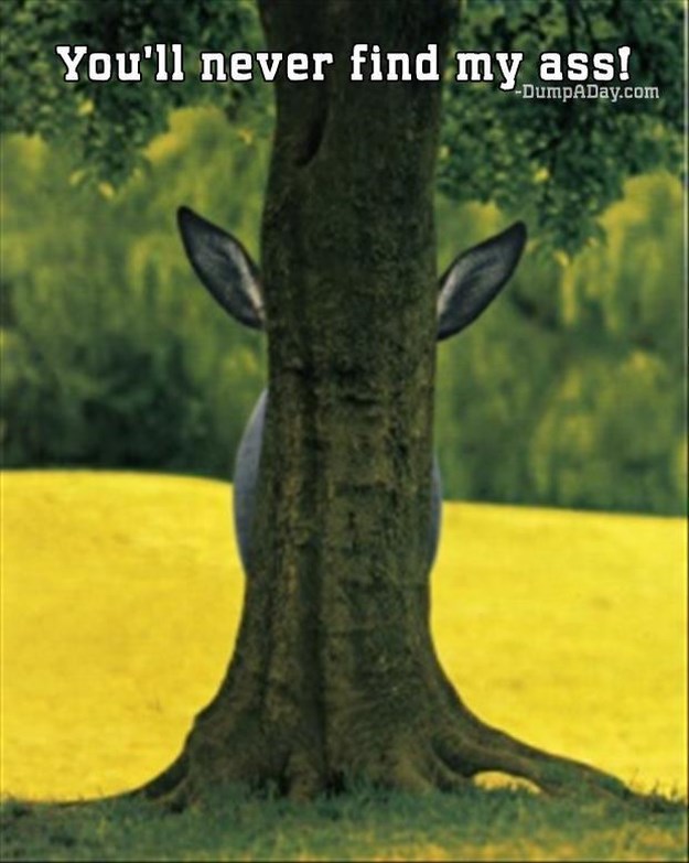 Attack-Of-The-Funny-Animals-036