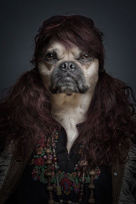 Dogs-Dressed-as-Humans-001