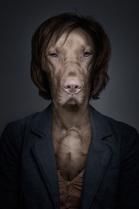 Dogs-Dressed-as-Humans-002