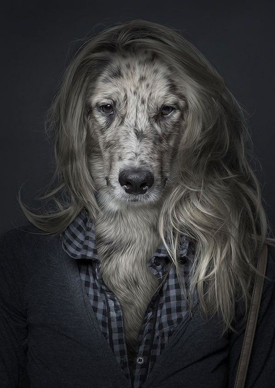 Dogs-Dressed-as-Humans-003