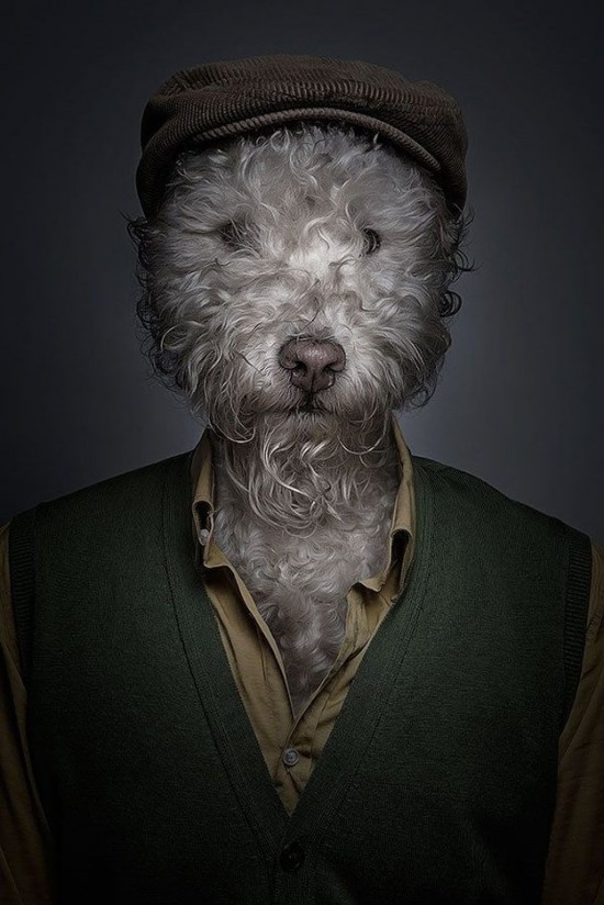 Dogs-Dressed-as-Humans-004