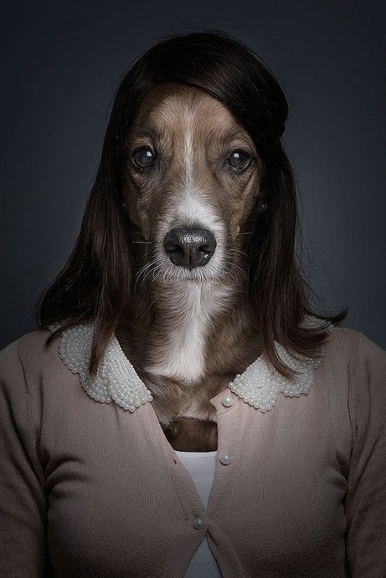Dogs-Dressed-as-Humans-005