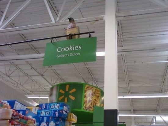 Amusing-Walmart-015