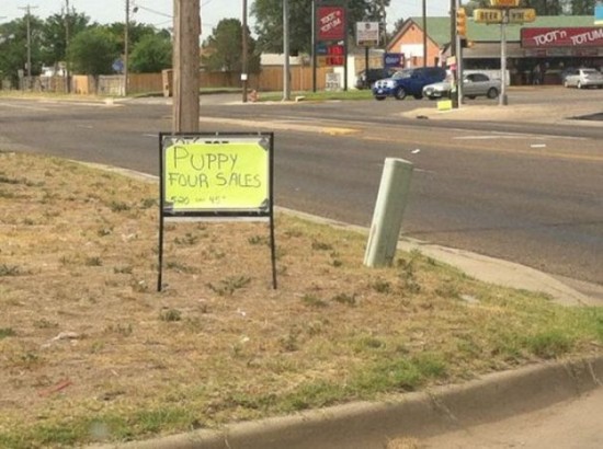 Crazy-And-Funny-Signs-005