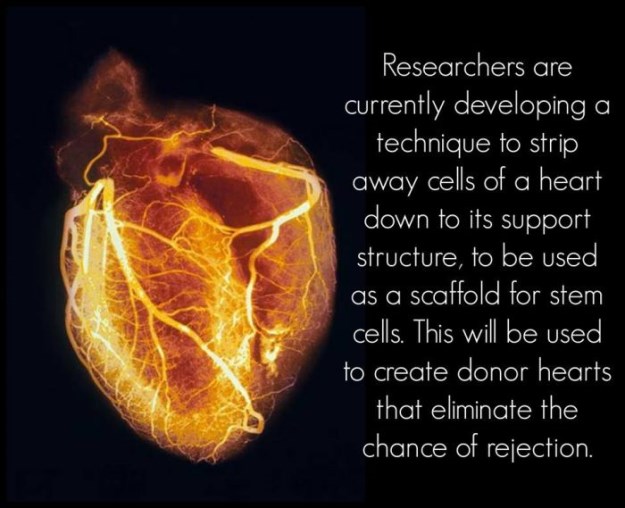 Interesting-Scientific-Facts-005 - FunCage