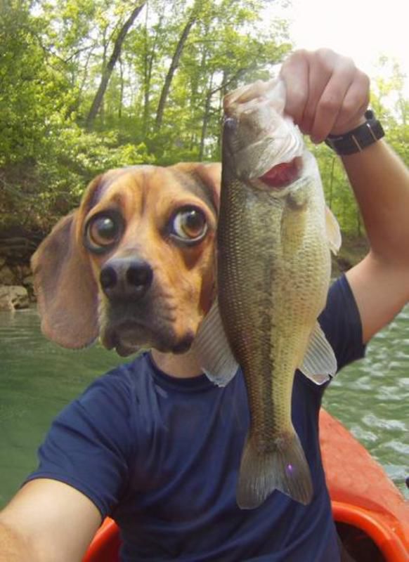 Magic-Of-Photoshop-004