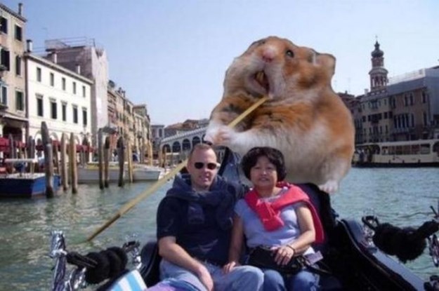 Photoshopped-Photos-001
