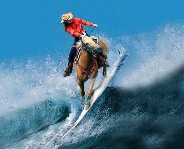 Photoshopped-Photos-036