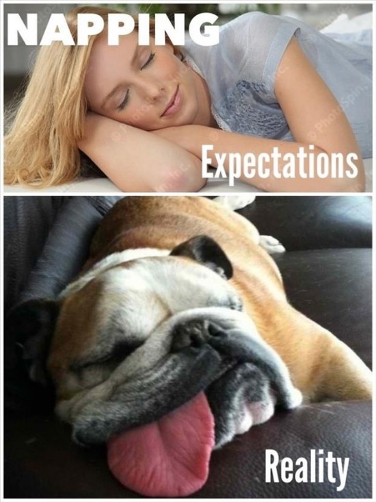 The-Best-Of-Expectations-vs-Reality-016