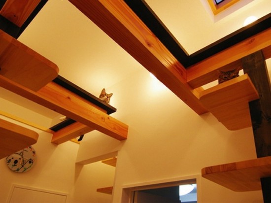 18-Creative-Spaces-Designed-For-Your-Cat-002
