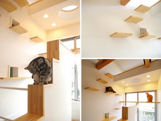 18-Creative-Spaces-Designed-For-Your-Cat-014